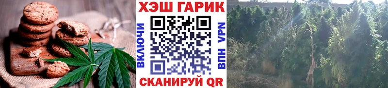mega онион  Кашин  Еда ТГК конопля 
