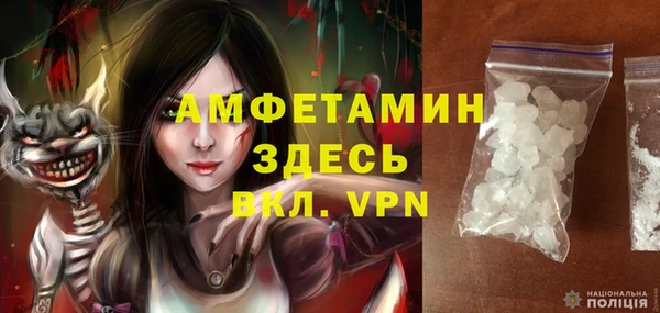 крисы Коряжма